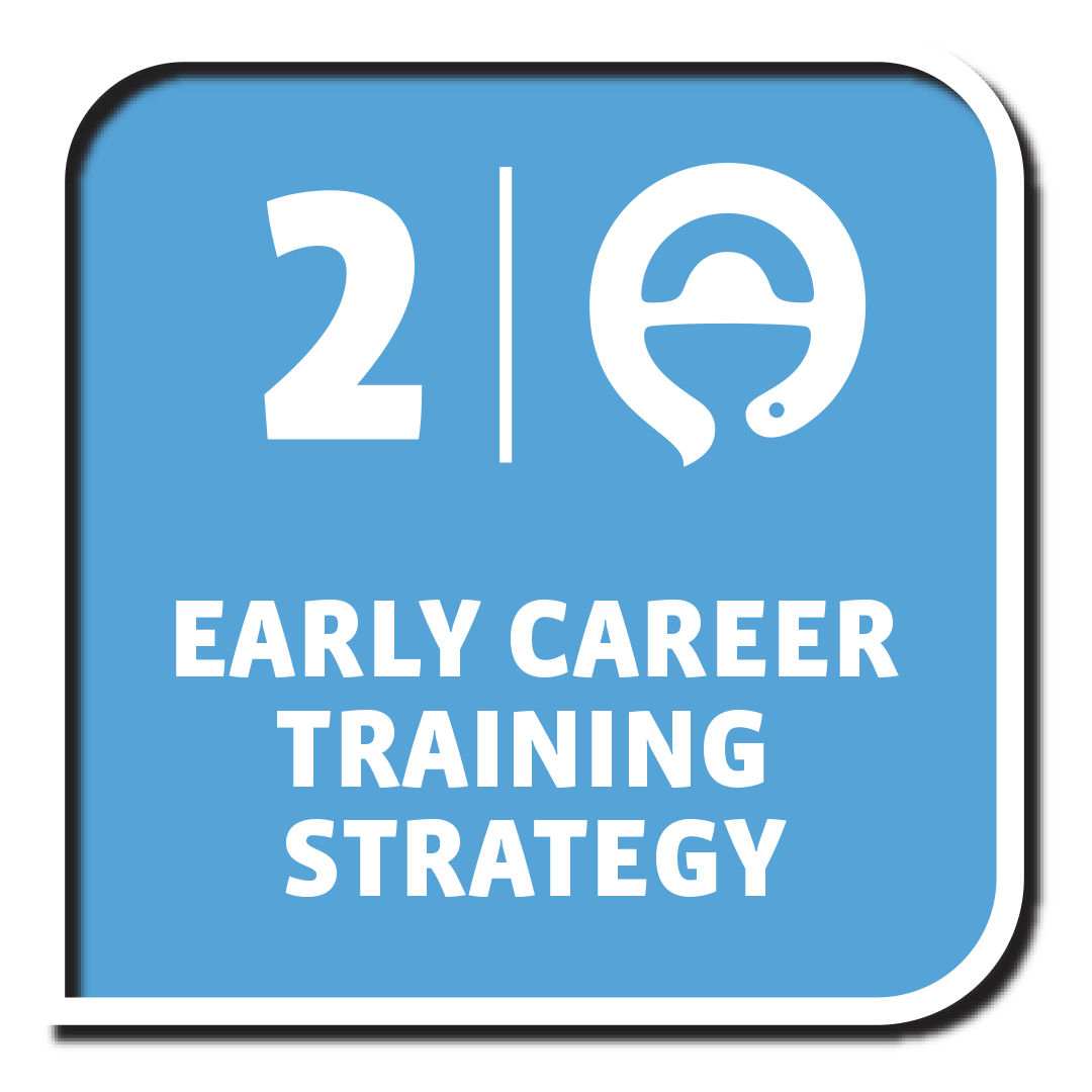 DG 2: Early Career Training Strategy