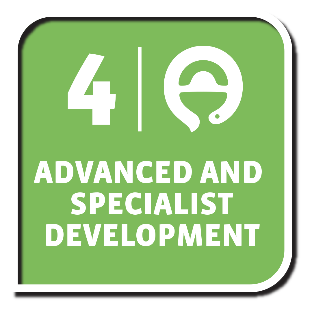 DG 4: Advanced and Specialist Development