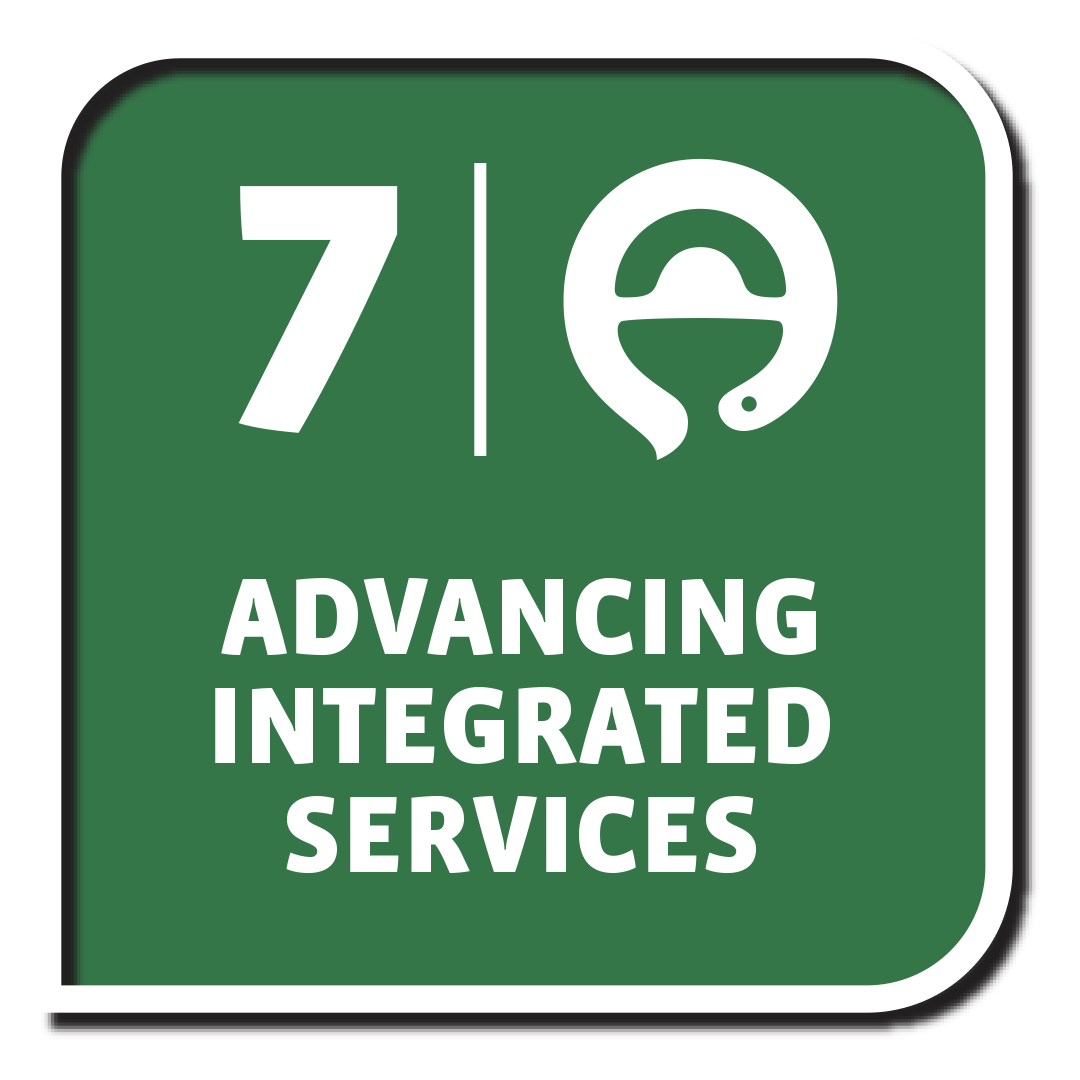 DG 7: Advancing Integrated Services